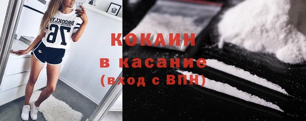 хмурый Абаза