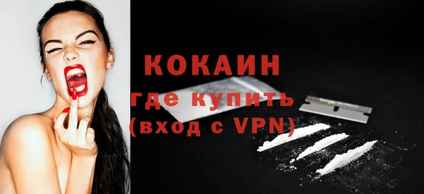 хмурый Абаза
