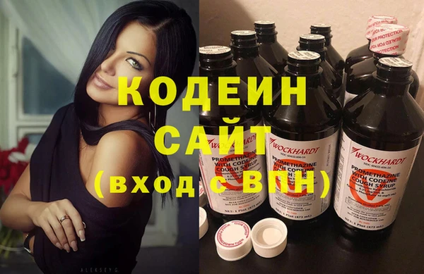хмурый Абаза