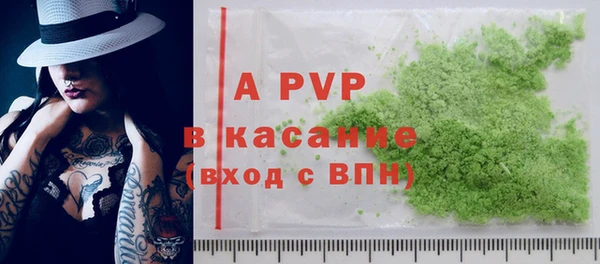 хмурый Абаза