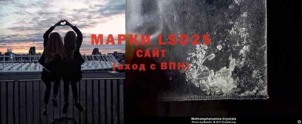 хмурый Абаза