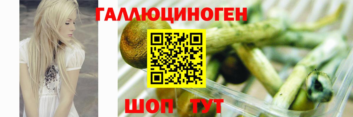 MDMA  Кокаин  КЕТАМИН  МЕФ кристаллы  Зеленокумск  Каннабис  Вход с VPN  Конопля 